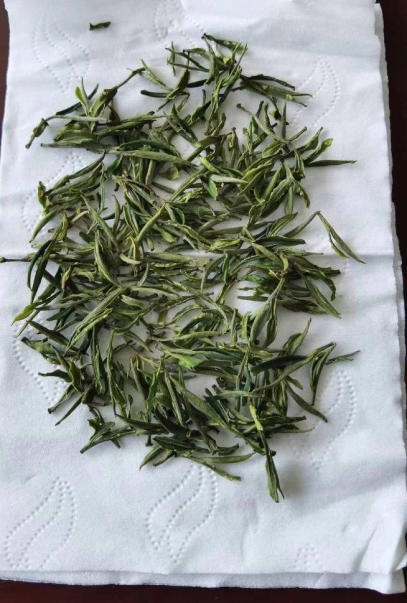 黄山毛峰茶大量供应，产地直发，量大从优，各种规格都有咨询