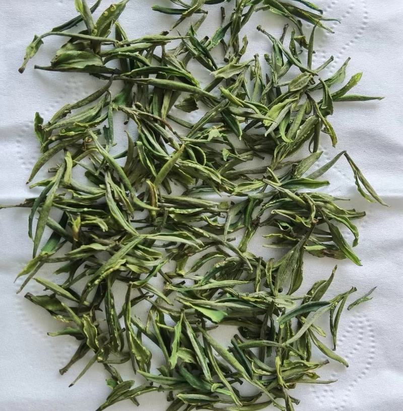 黄山毛峰茶大量供应，产地直发，量大从优，各种规格都有咨询