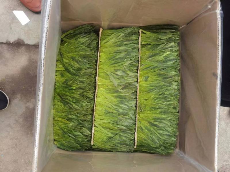 黄山毛峰茶大量供应，产地直发，量大从优，各种规格都有咨询