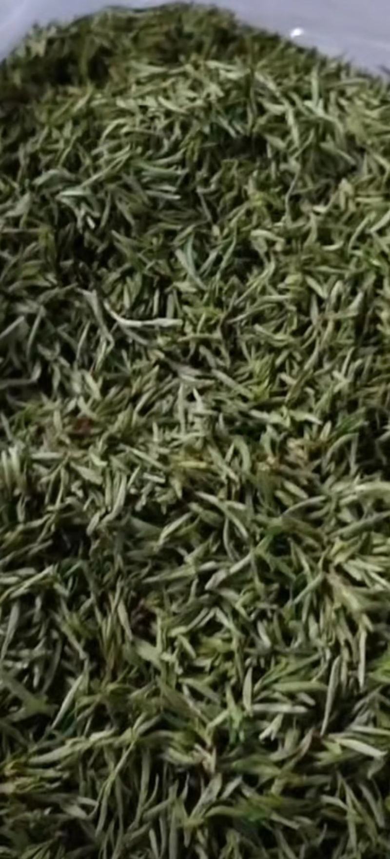 黄山毛峰茶大量供应，产地直发，量大从优，各种规格都有咨询