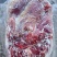 内蒙古纯草饲黄膘牛肉国产黄膘牛肉精修去油
