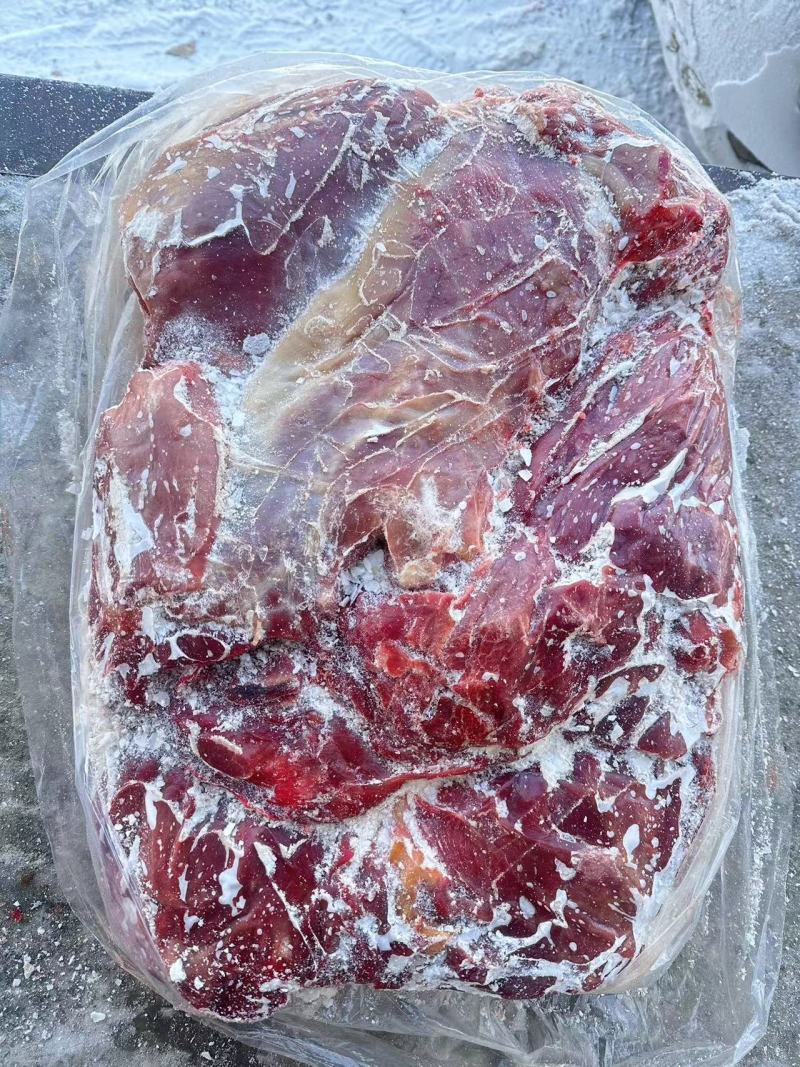 内蒙古纯草饲黄膘牛肉国产黄膘牛肉精修去油