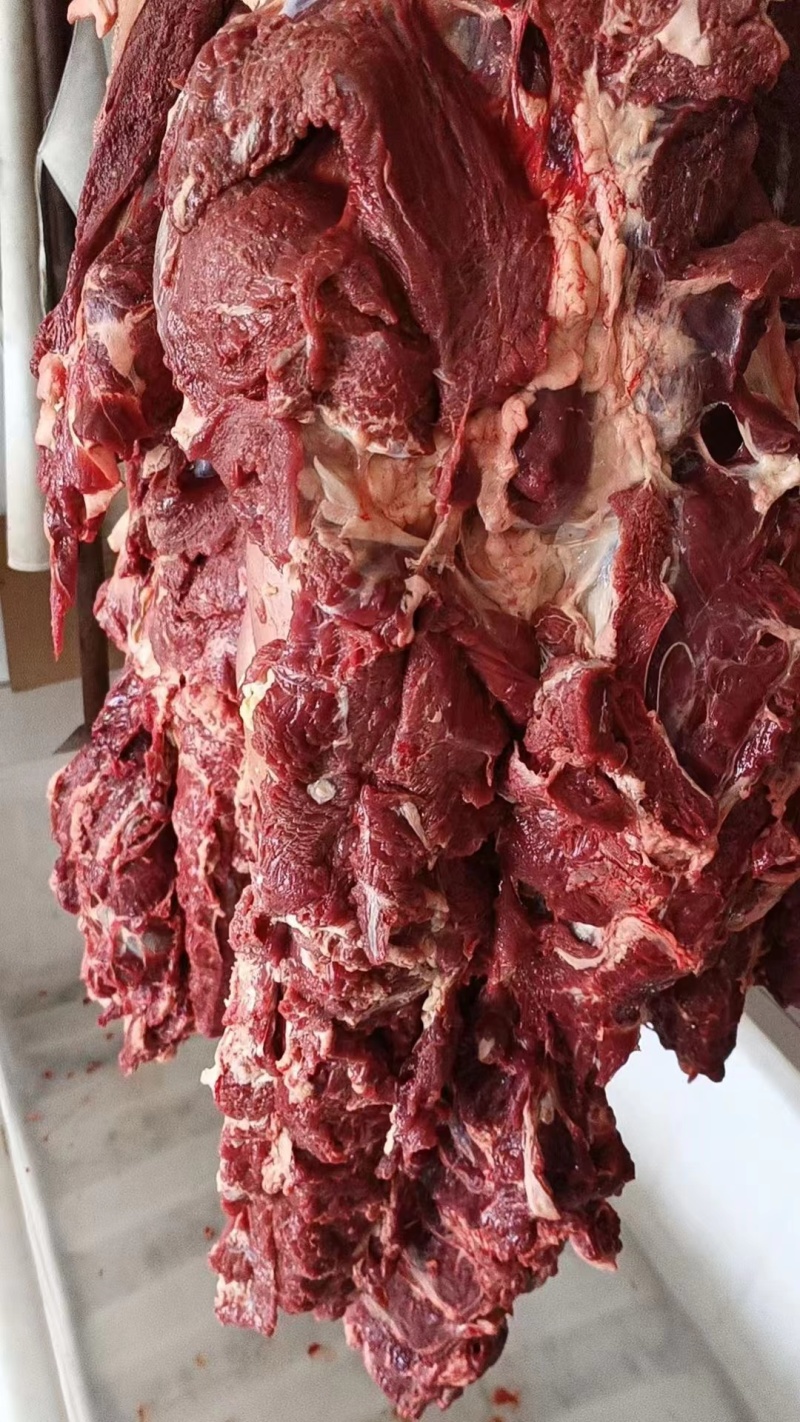 内蒙古纯草饲黄膘牛肉国产黄膘牛肉精修去油