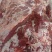 内蒙古纯草饲黄膘牛肉国产黄膘牛肉精修去油