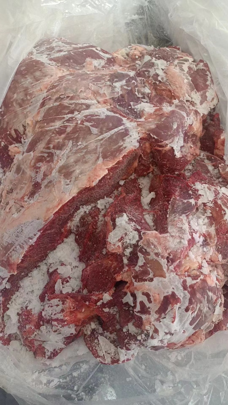 内蒙古纯草饲黄膘牛肉国产黄膘牛肉精修去油