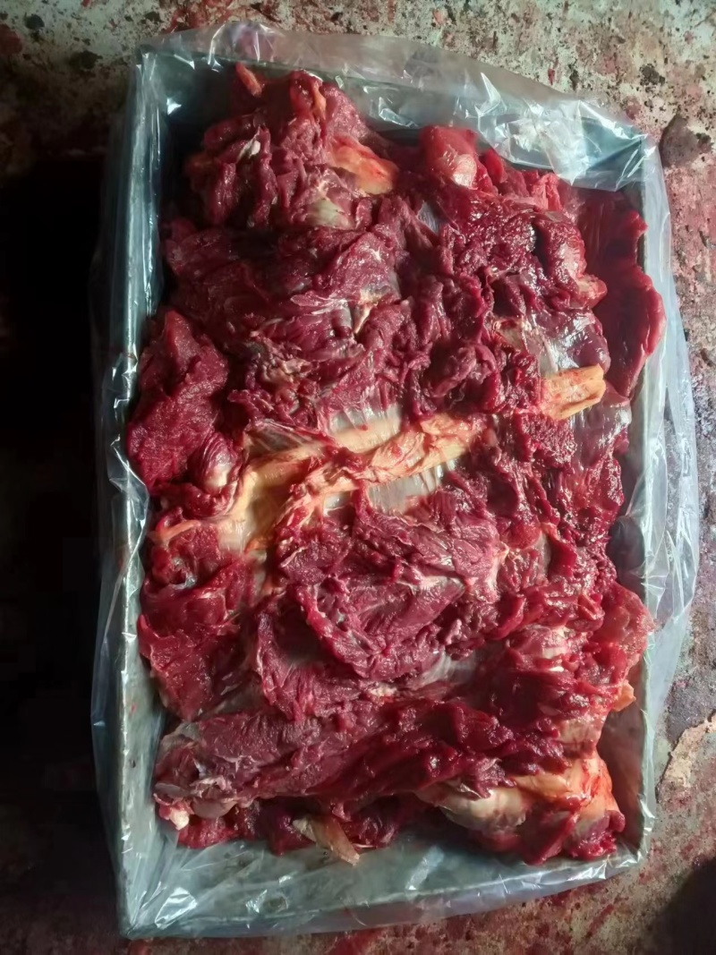 内蒙古纯草饲黄膘牛肉国产黄膘牛肉精修去油