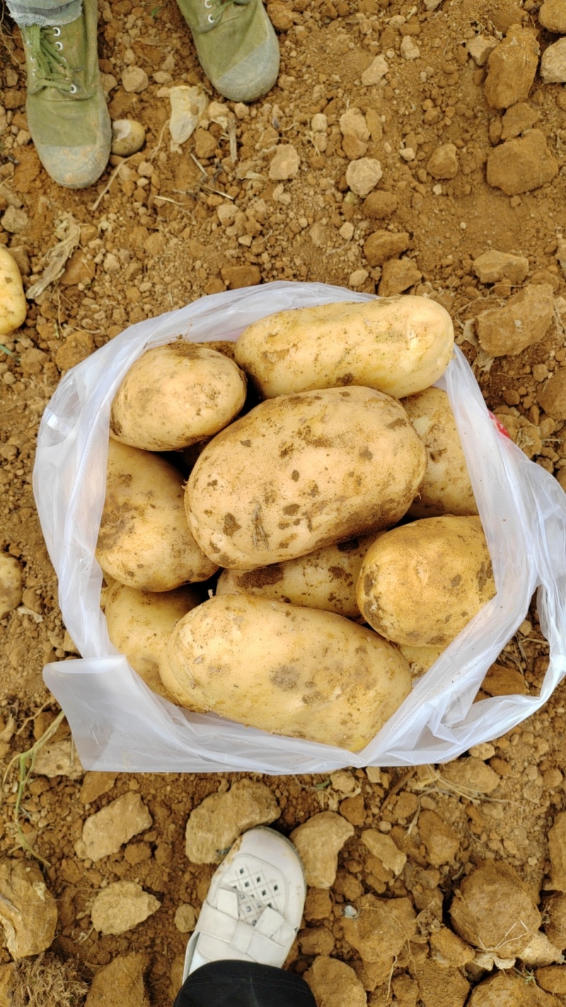 沃土