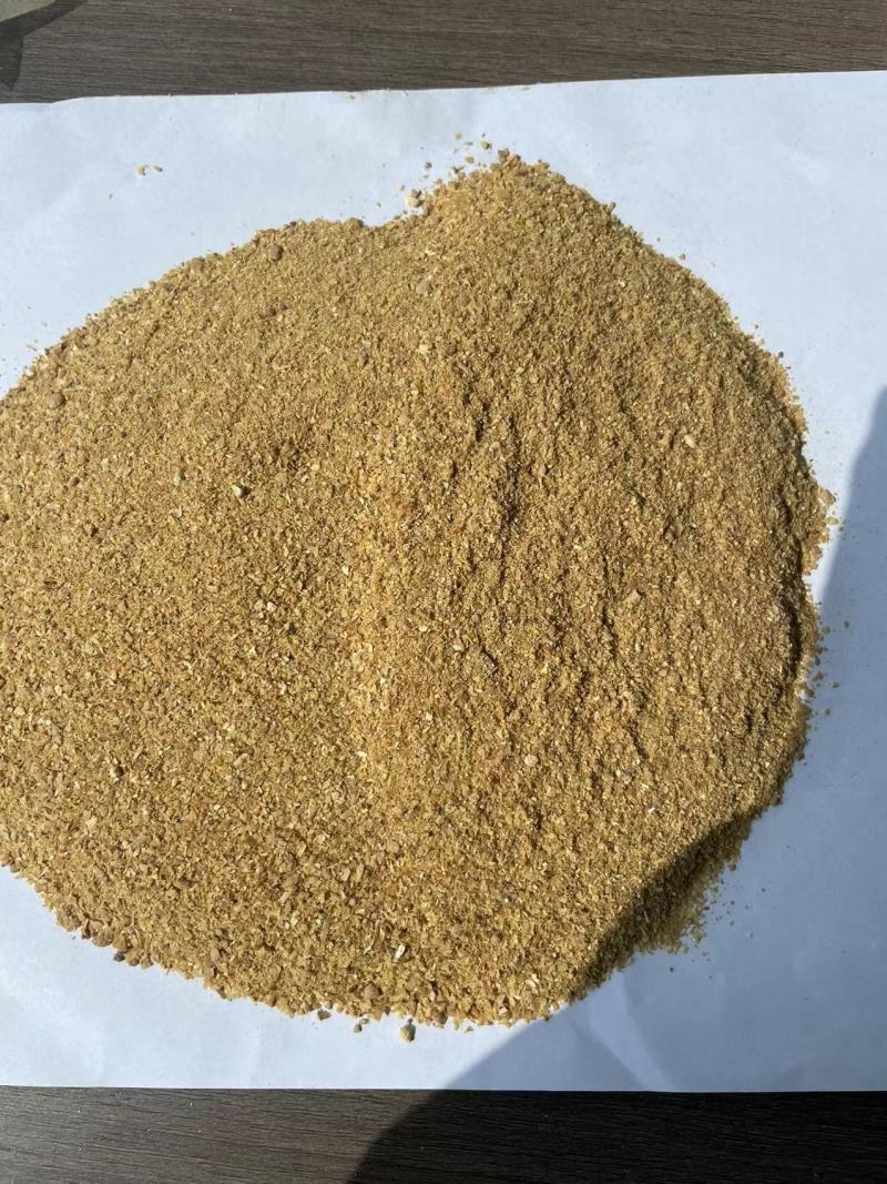 喷浆玉米皮货源充足厂家供应量大从优质量保证欢迎咨询