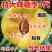 【包活】李子苗/蜂糖李子苗脱核嫁接基地直发供应南北种植