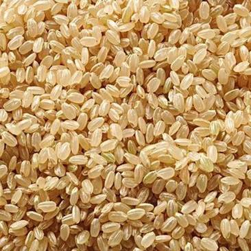 黑龙江北大荒21年珍珠糙米