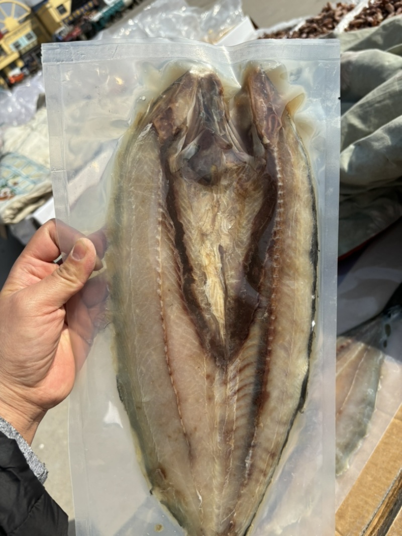 真空包装大个鲅鱼燕尾鲅、去内脏特别干净、常年有货