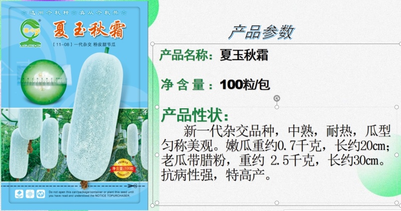 【夏玉秋霜节瓜种子】上粉快瓜型匀称口感脆甜