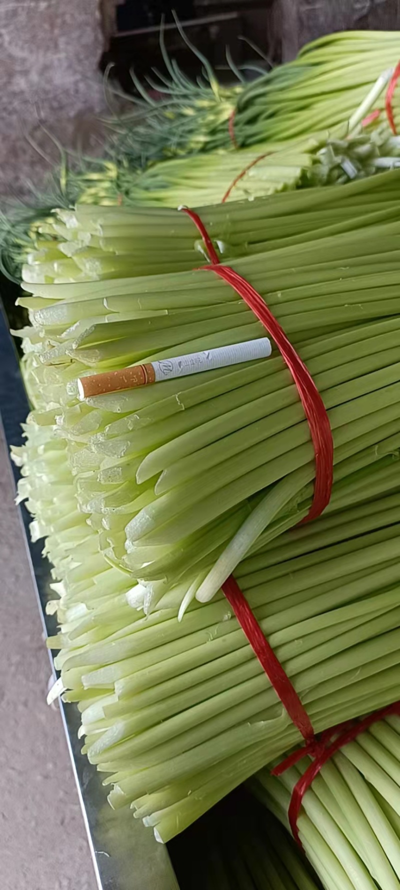 （热卖中）白帽蒜薹大量上市产地直供品质保障量