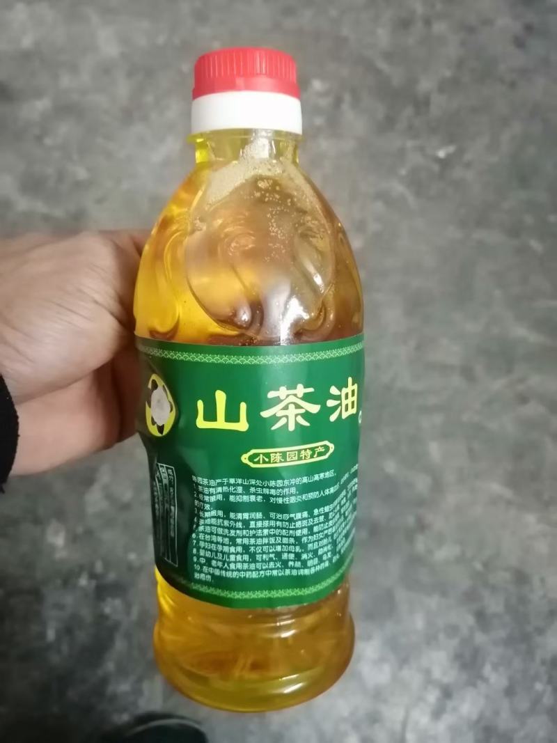 高山老桩山茶籽树（纯野小果），山茶油价格很不错
