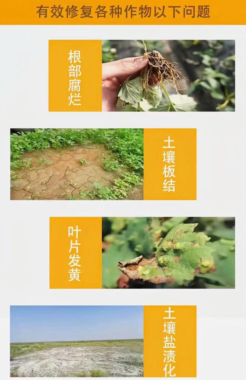 新疆矿源黄腐酸钾土壤活化剂正品生根剂调酸碱花肥果树蔬菜