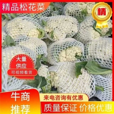 松散花大量上市1~2斤【产地直销】《质量保证》