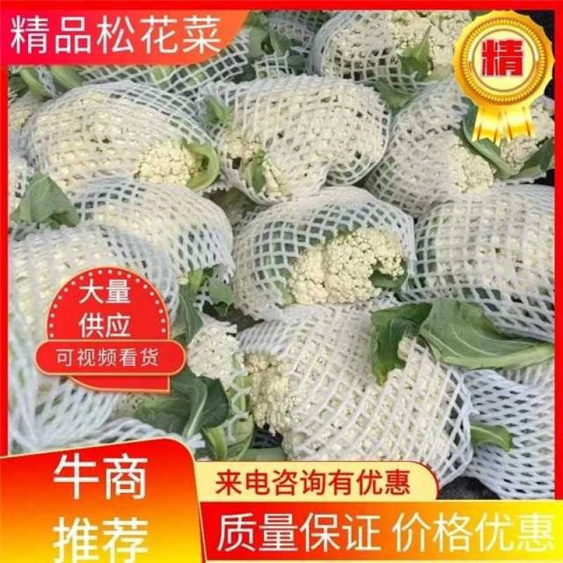 松散花大量上市1~2斤【产地直销】《质量保证》