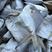 咸银鲳鱼、平鱼、老工艺手法腌制、常年有货保质保量