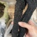 肉苁蓉阿拉善肉苁蓉肉厚软大芸油性大肉纵容