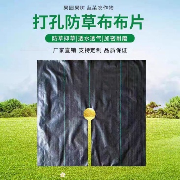 防草布农用除草布加厚切片打孔地布果园果树盖草布