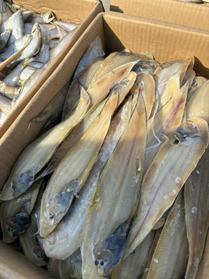 鳎木鱼、龙利鱼、一款腌制的鱼、产地直发休闲小零食代发
