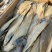 鳎木鱼、龙利鱼、一款腌制的鱼、产地直发休闲小零食代发