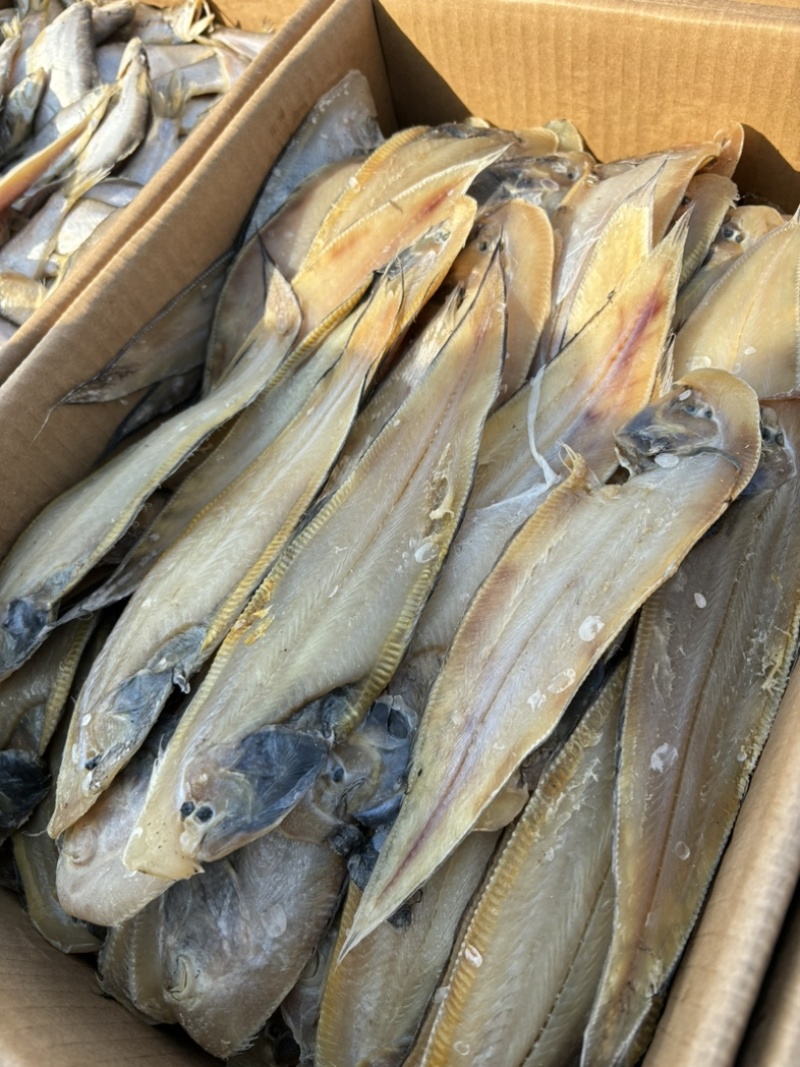 鳎木鱼、龙利鱼、一款腌制的鱼、产地直发休闲小零食代发