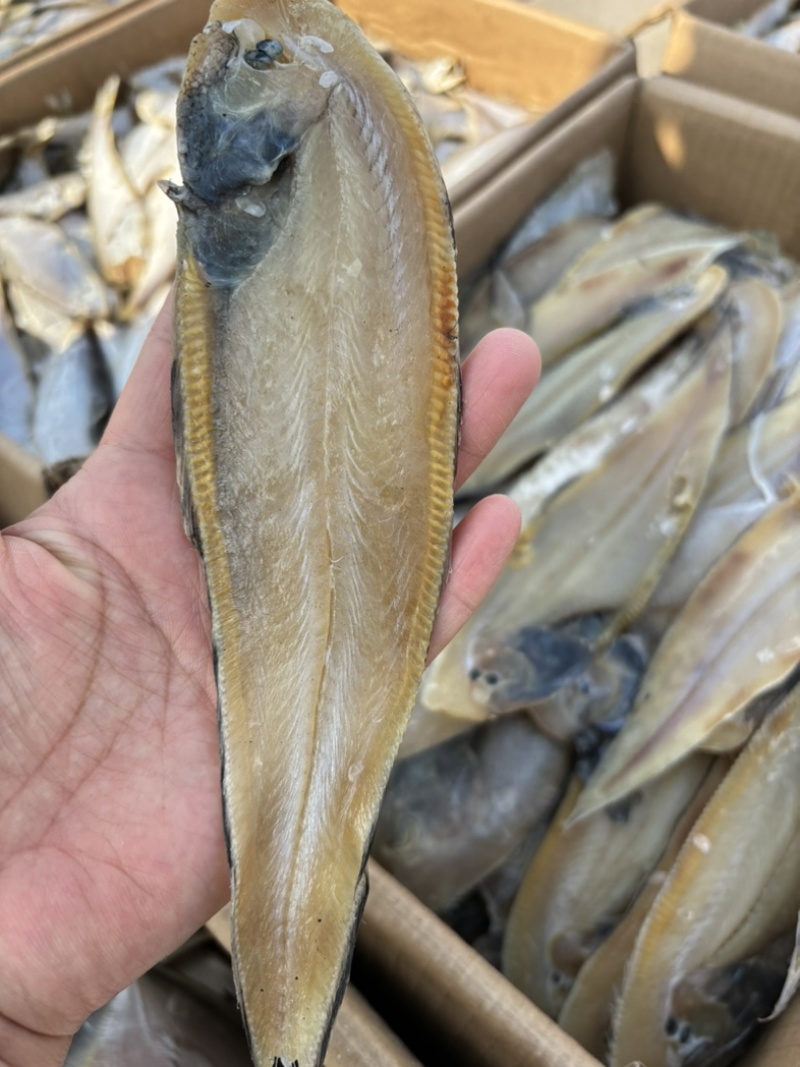 鳎木鱼、龙利鱼、一款腌制的鱼、产地直发休闲小零食代发