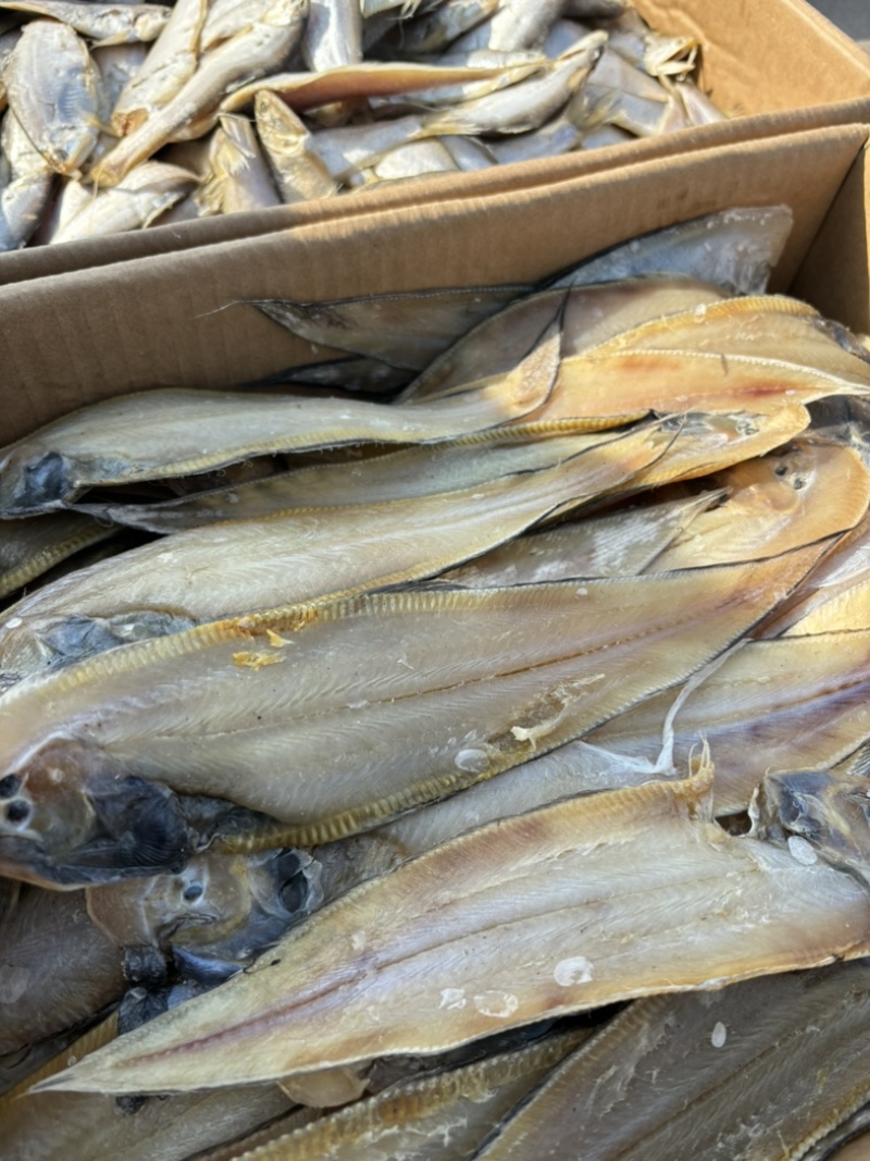 鳎木鱼、龙利鱼、一款腌制的鱼、产地直发休闲小零食代发