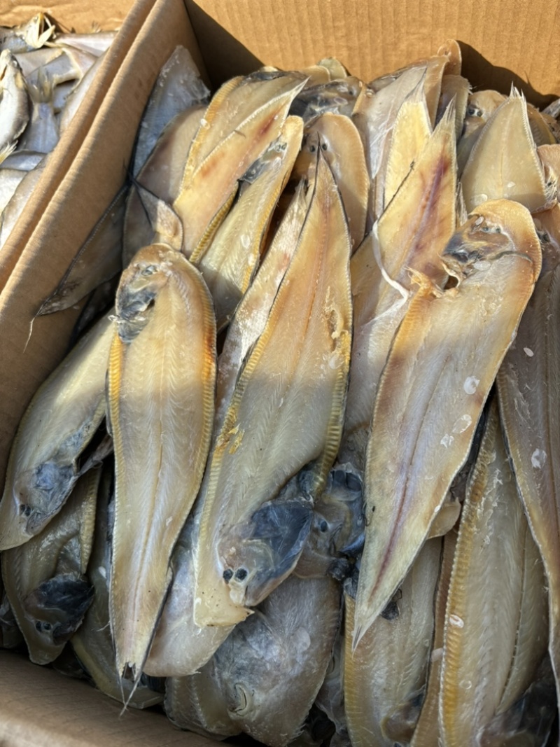 鳎木鱼、龙利鱼、一款腌制的鱼、产地直发休闲小零食代发
