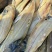 鳎木鱼、龙利鱼、一款腌制的鱼、产地直发休闲小零食代发