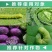 正品甲维氯虫苯稻纵卷叶螟二化三化螟蒂蛀虫钻心虫菜青虫农药