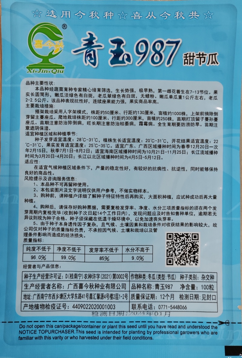 青玉987甜节瓜极早熟耐寒性好头尾匀称绿皮