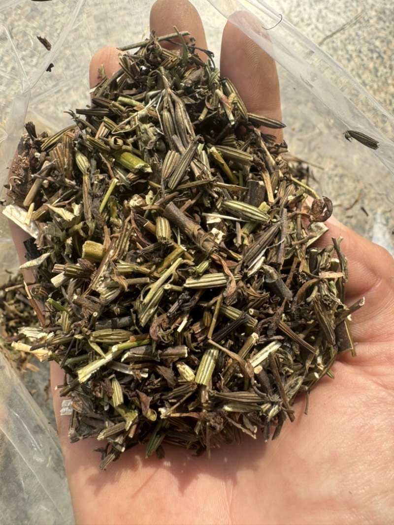 刘寄奴实物拍摄刘寄奴保庆药业实拍有视频