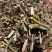 刘寄奴实物拍摄刘寄奴保庆药业实拍有视频