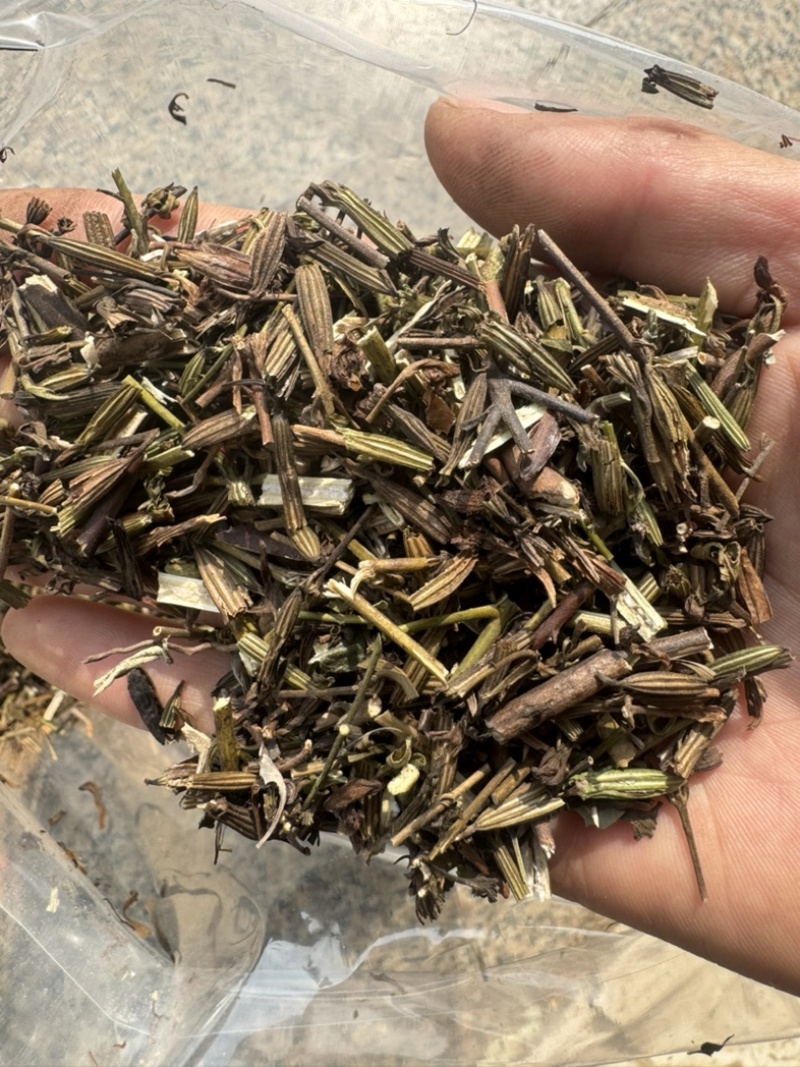 刘寄奴实物拍摄刘寄奴保庆药业实拍有视频