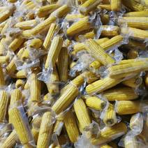 一件东北真空玉米，厂家直发，没有中间商。