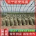 鸡粪常年大量出售稻壳鸡粪，包大货干，厂家直发，量大从优