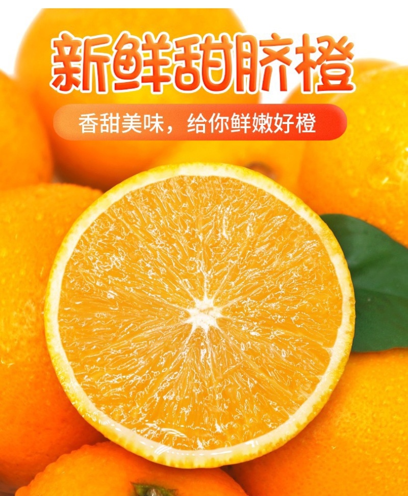 荐—奉节脐橙72-1带叶、光头一树果