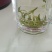 新茶开启