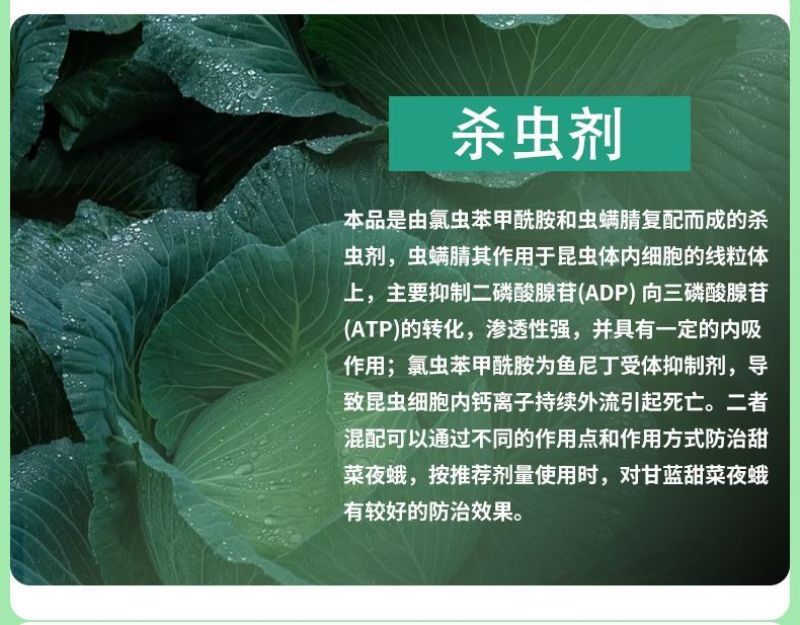 20%虫螨腈氯虫苯甲酰胺甜菜夜蛾杀虫剂农用卷叶螟打虫药正