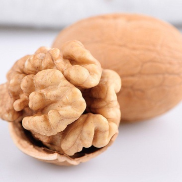 新丰尖白仁