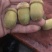 野生狗鞭果鲜货毛毛果猪仔粒通货鲜果产地批发