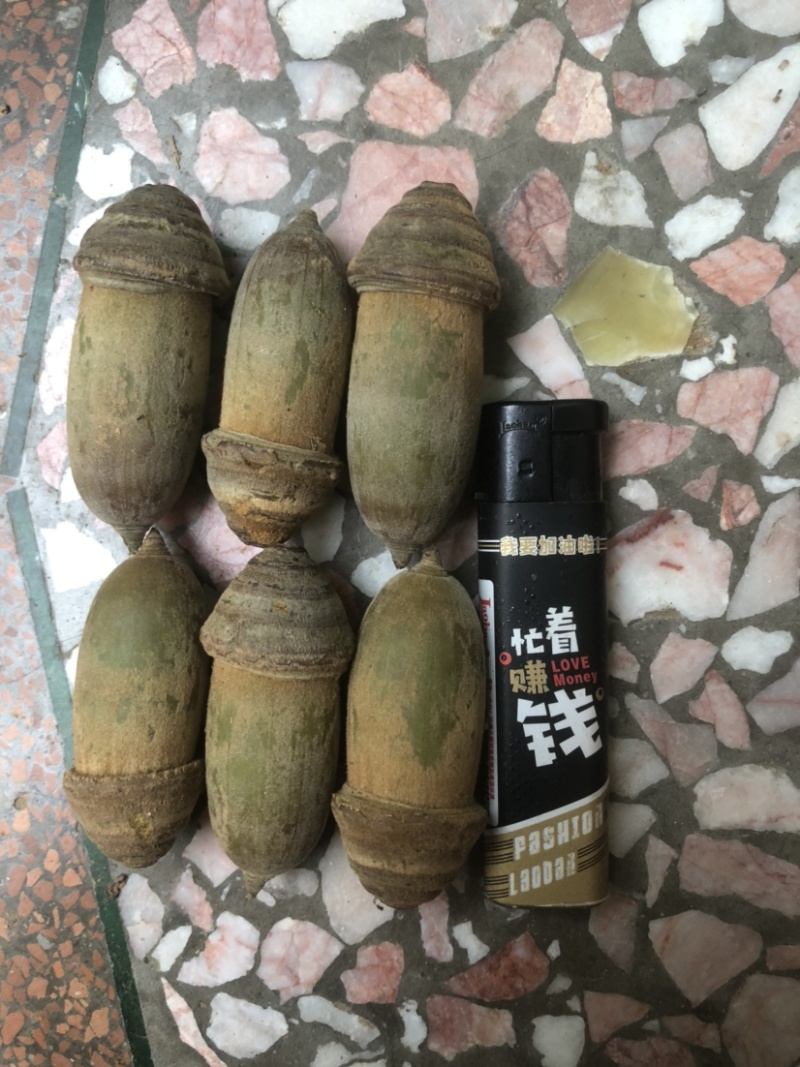 野生狗鞭果鲜货毛毛果猪仔粒通货鲜果产地批发
