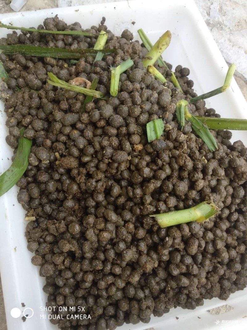 《精选》风干兔子粪厂家直发质量好货源稳定可常年供货