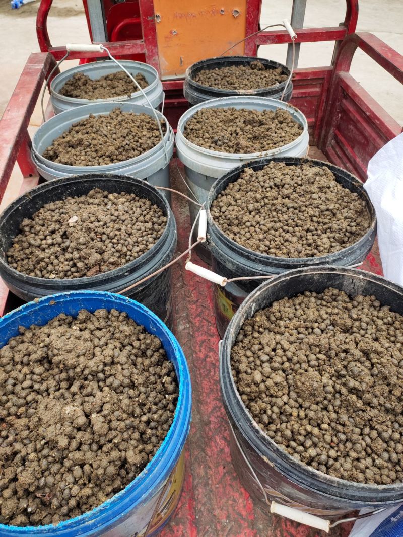 《精选》风干兔子粪厂家直发质量好货源稳定可常年供货