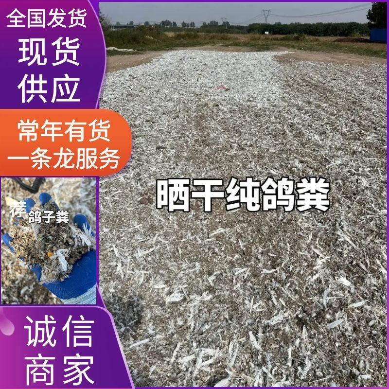 鸽子粪《精选》自然风干包大货好厂家常年供应招代理商