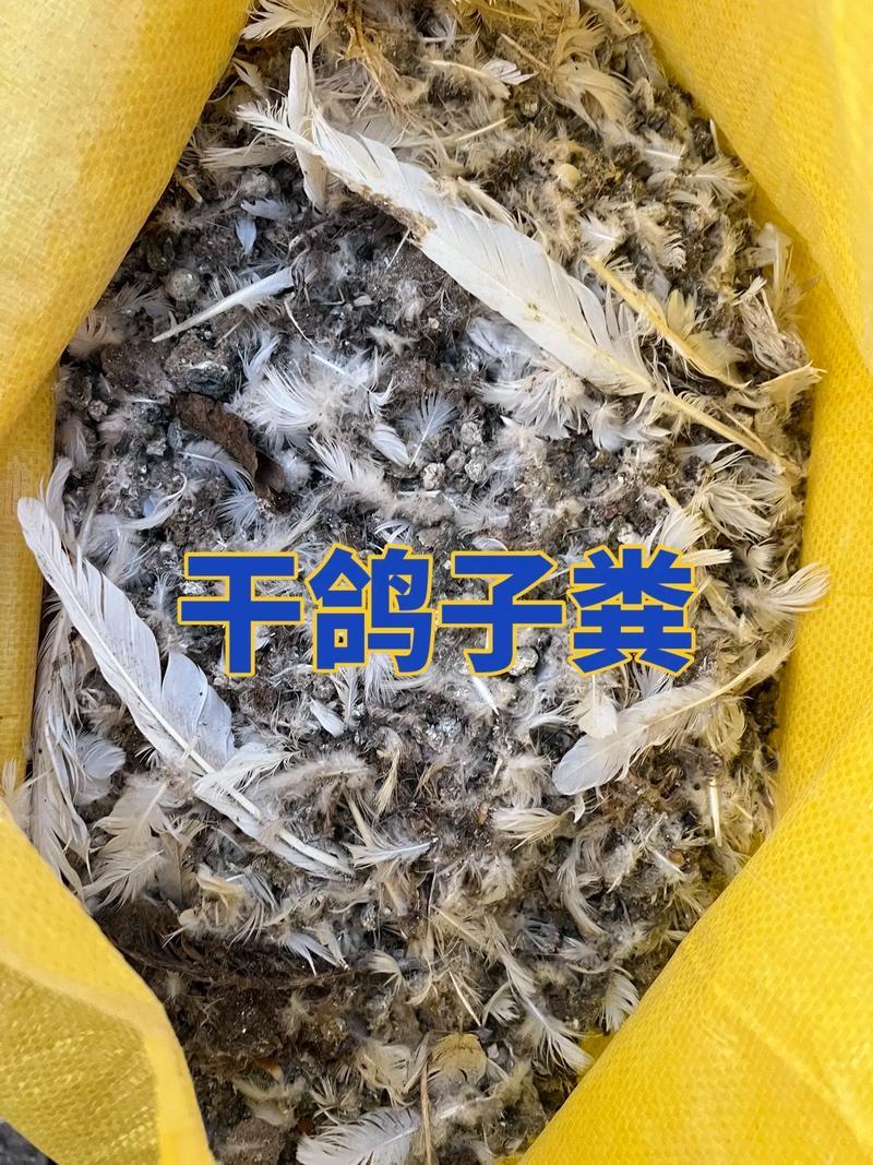 鸽子粪《精选》自然风干包大货好厂家常年供应招代理商