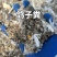 鸽子粪《精选》自然风干包大货好厂家常年供应招代理商