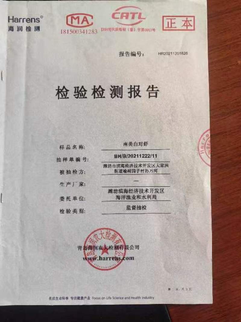 养虾厂里批发无冰衣手扒速冻鲜虾仁